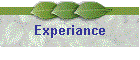 Experiance